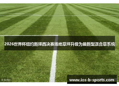 2026世界杯纽约新泽西决赛场地草坪升级为最新型混合草系统