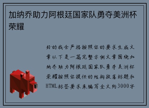 加纳乔助力阿根廷国家队勇夺美洲杯荣耀 加纳乔助力阿根廷国家队勇夺美洲杯荣耀